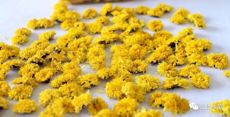 2018，種下希望，靜待花開！